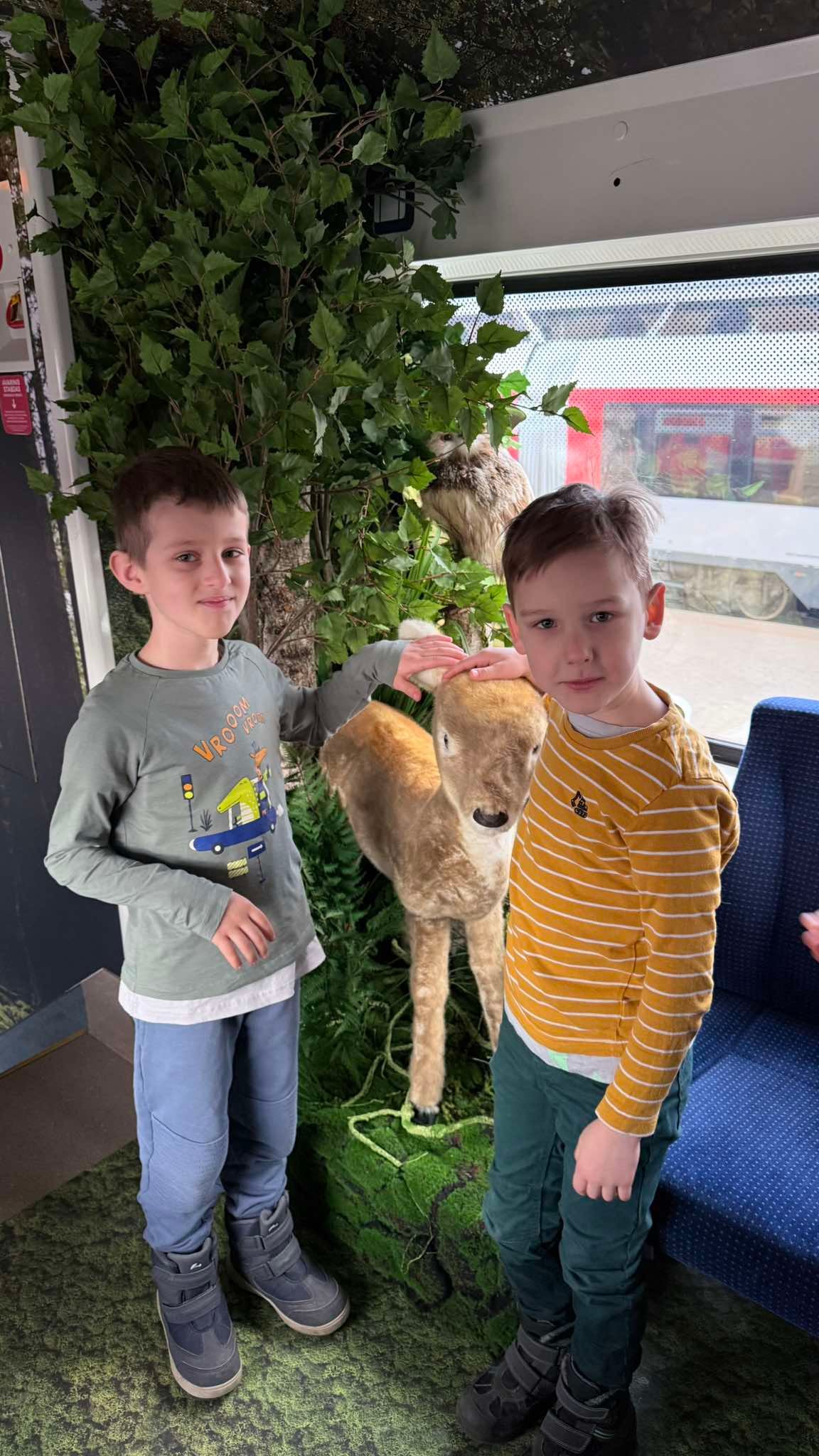 Read more about the article „Voveriukų“ kelionė Miško traukiniu į pažinimo ir nuotykių pasaulį