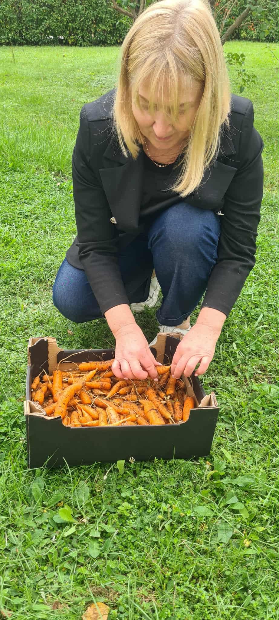 Read more about the article Šviežios morkos triušiukams