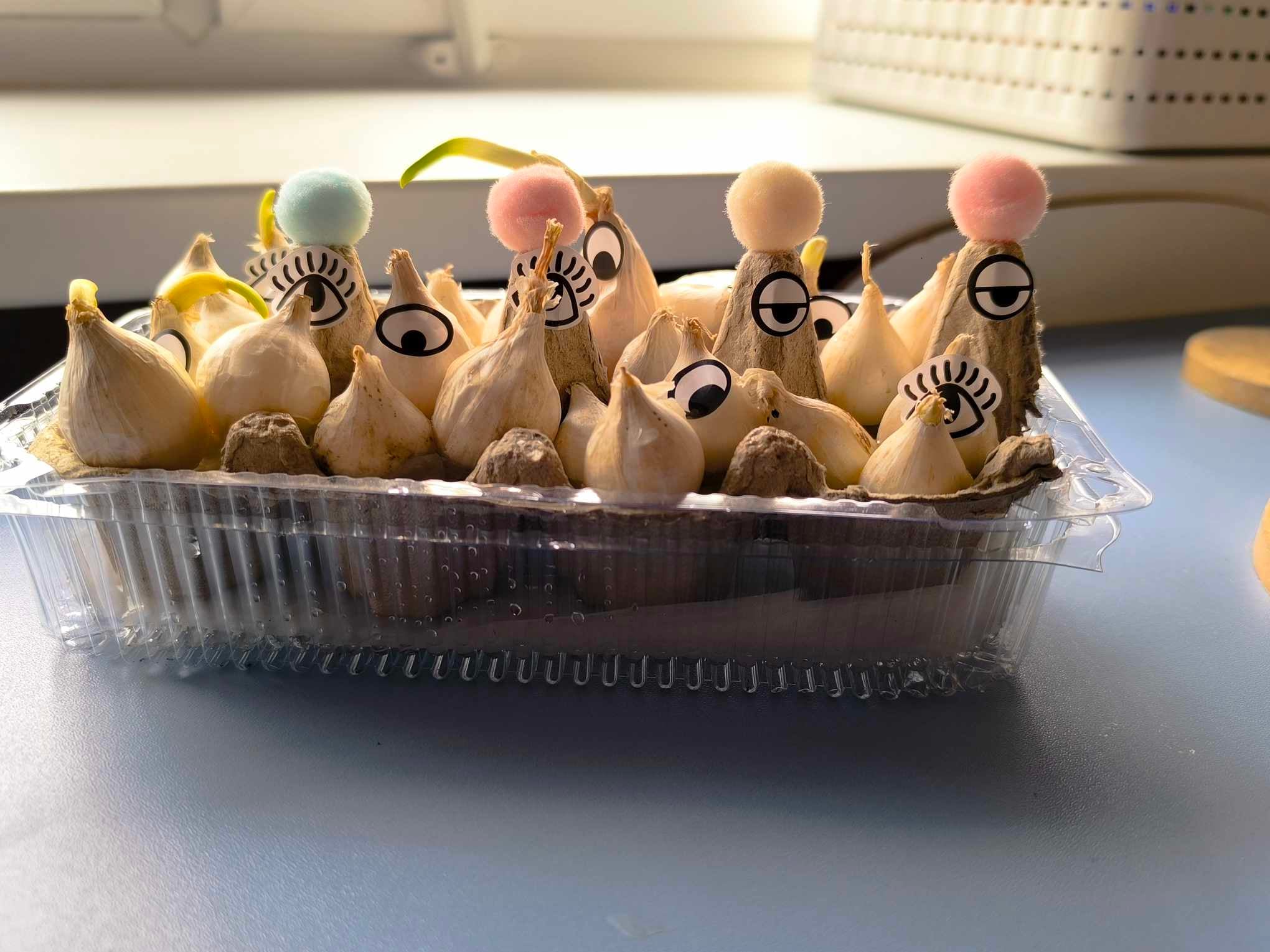 Read more about the article Mažųjų sodininkų pavasario laboratorija 🌞